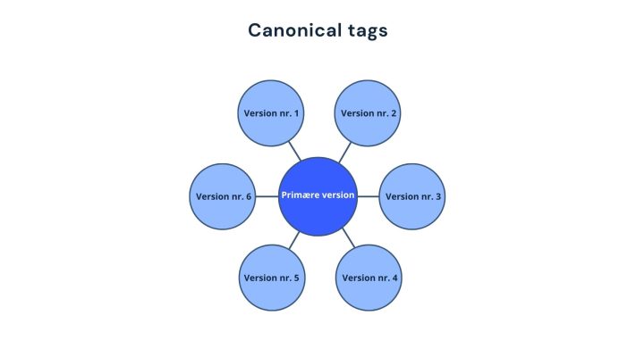 Model for Canonical tags
